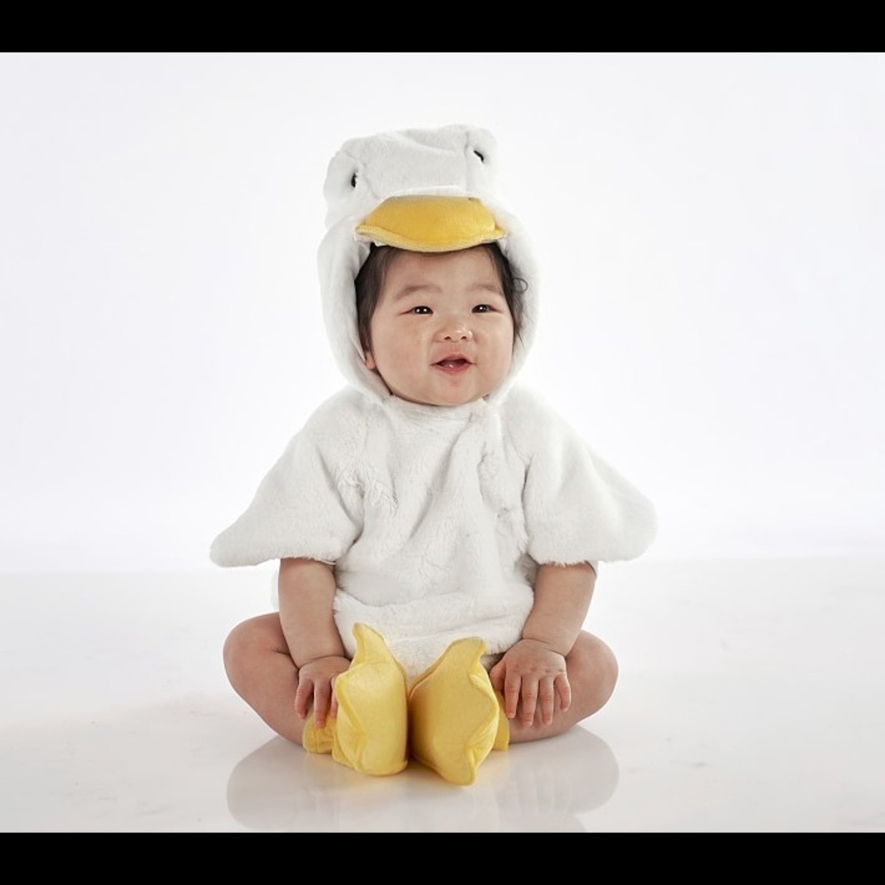 Pottery Barn Kids Duck Costume 0-6 months like new NWOT